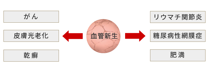 血管新生とその関連する疾患