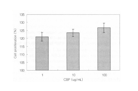 濃縮乳清タンパク質（CBP）の効果：骨芽細胞増殖と骨代謝の促進作用