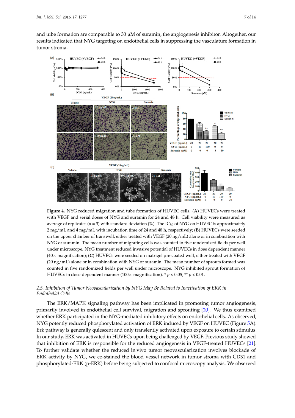 ノコギリヤシ色素の肝細胞がんへの補助療法の可能性 ページ7