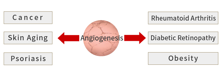 Angiogenesis and related diseases