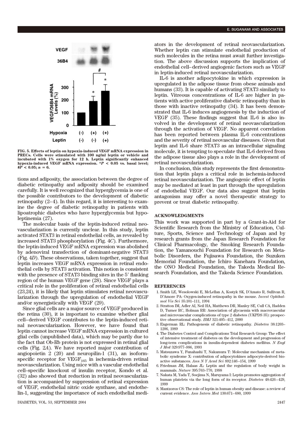 Leptin Stimulates Ischemia-Induced Retinal Neovascularization P5