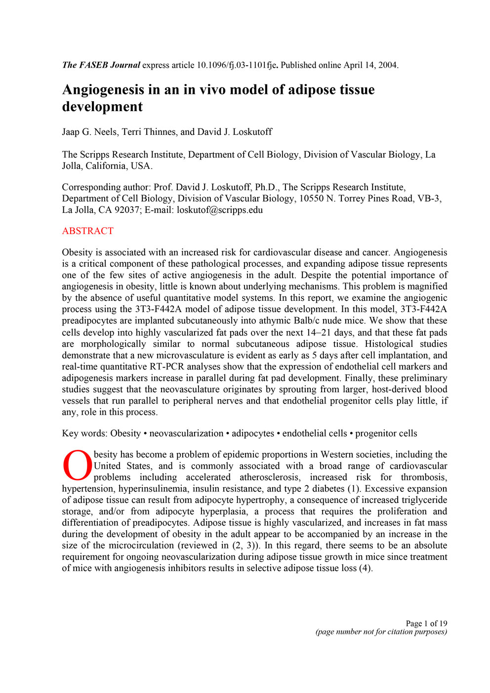 Angiogenesis in an in vivo model of adipose tissue development P1