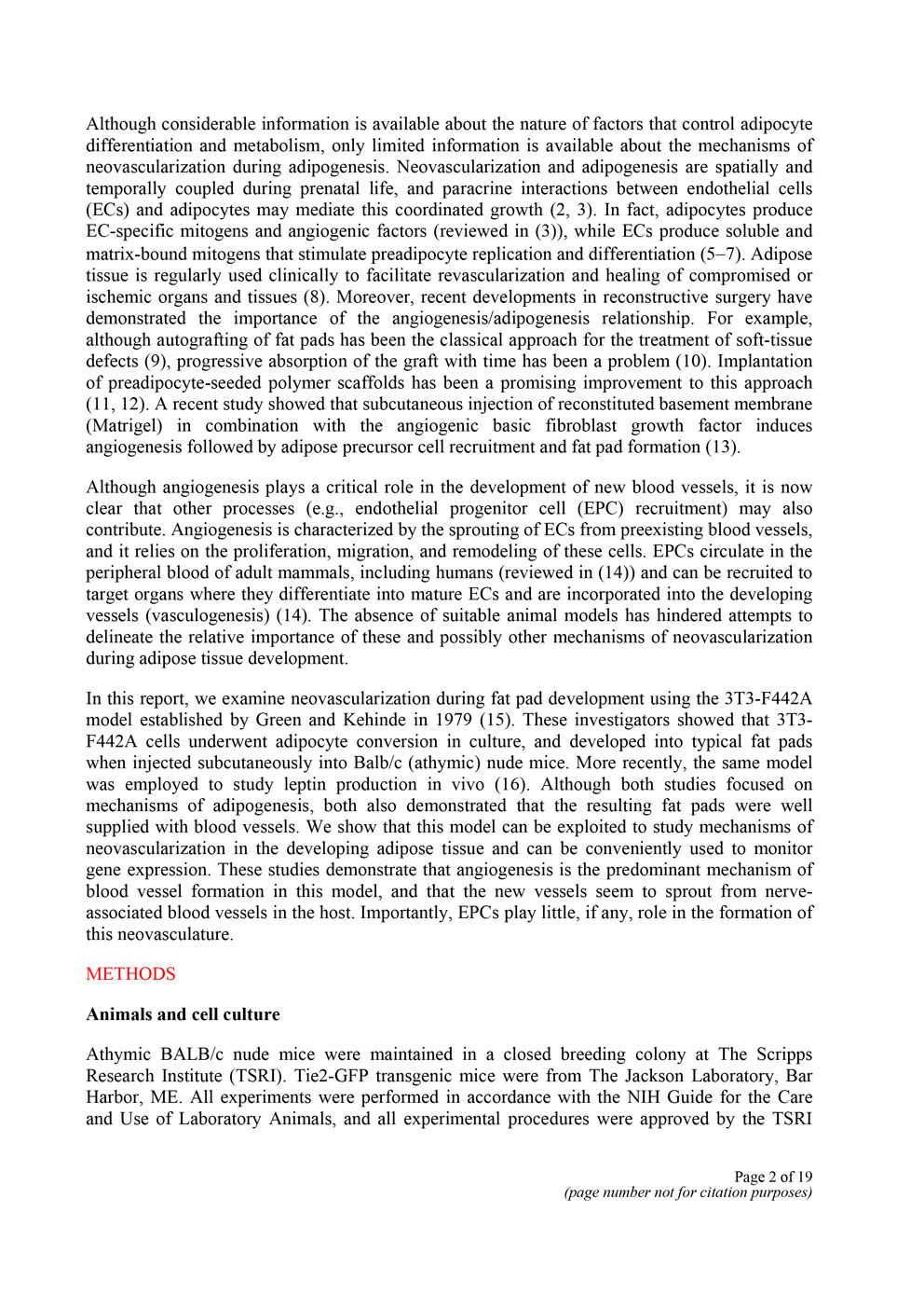 Angiogenesis in an in vivo model of adipose tissue development P2