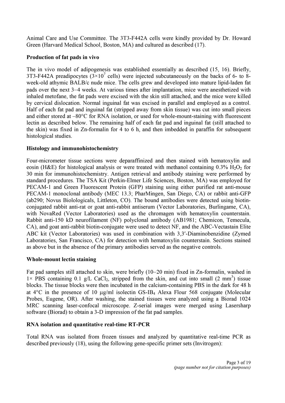 Angiogenesis in an in vivo model of adipose tissue development P3