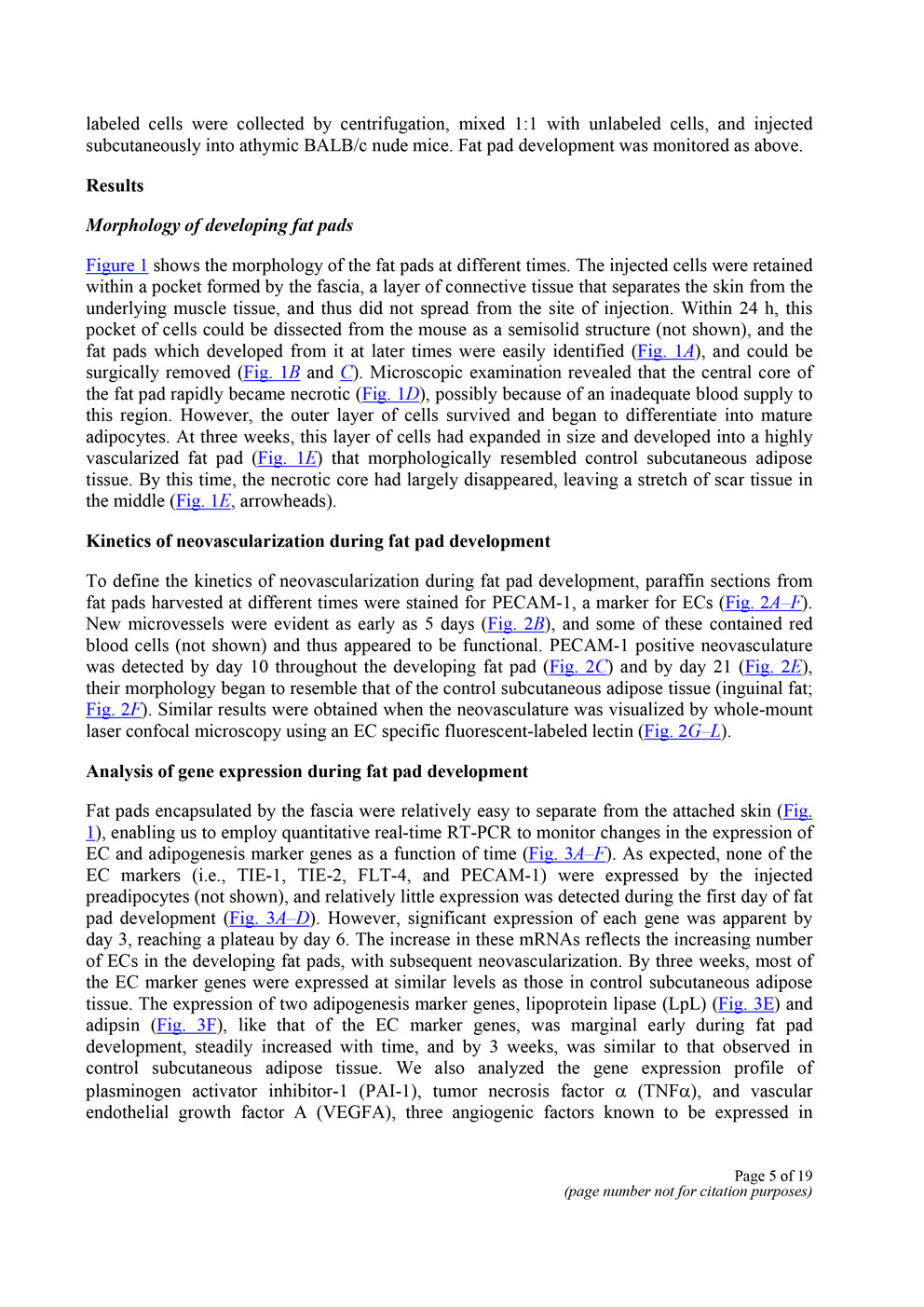 Angiogenesis in an in vivo model of adipose tissue development P5