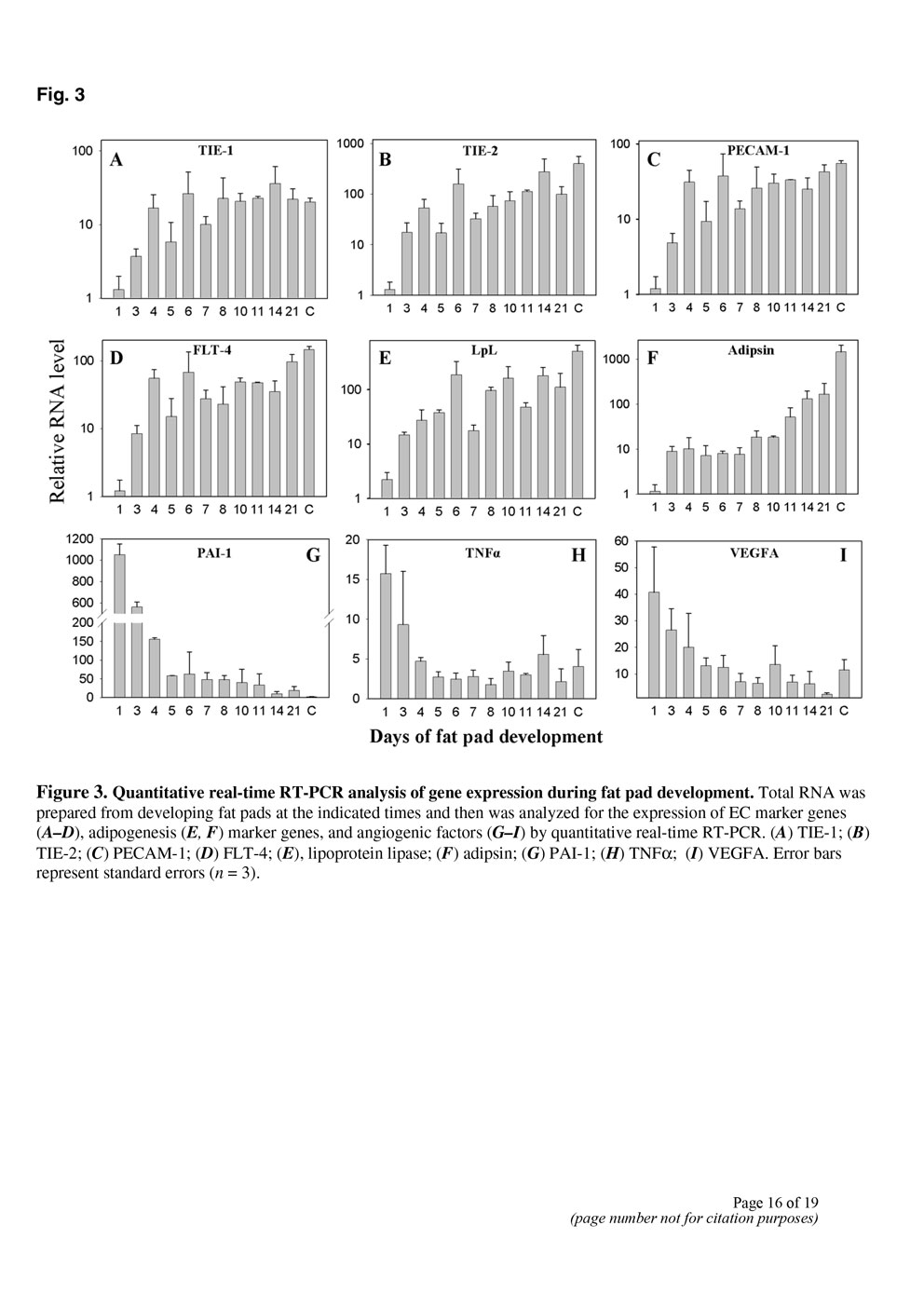 Angiogenesis in an in vivo model of adipose tissue development P16