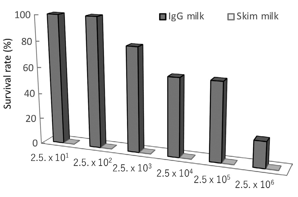 The effectiveness of bovine IgG fraction against salmonella, O-157 and non-tuberculous mycobacteria